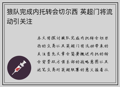 狼队完成内托转会切尔西 英超门将流动引关注